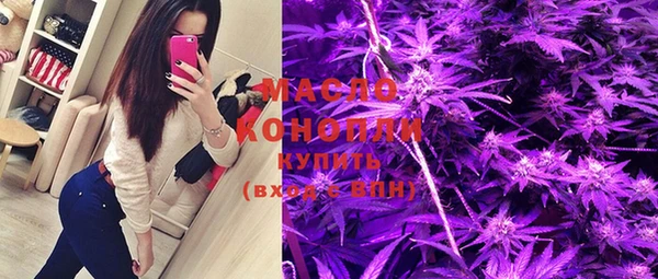 индика Армянск
