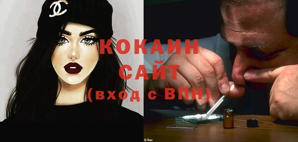 индика Армянск