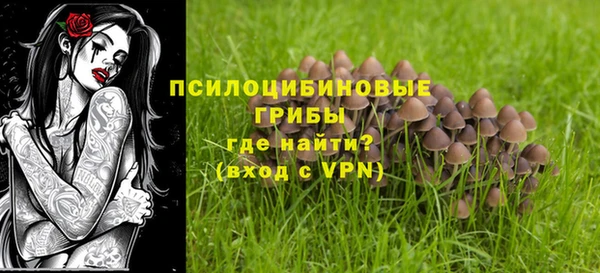 прущая мука Арсеньев