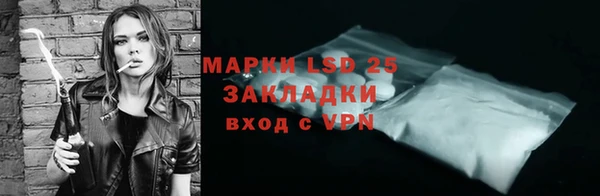 трава Аркадак