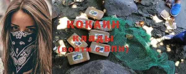 трава Аркадак