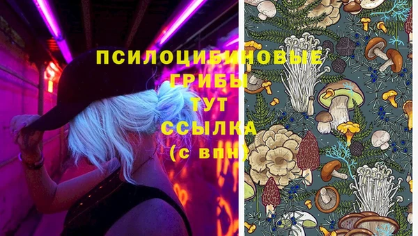 прущая мука Арсеньев