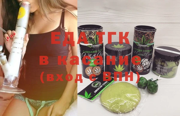 индика Армянск