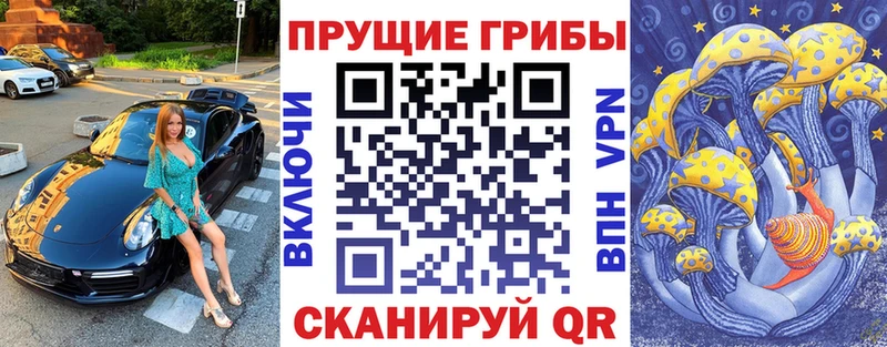магазин продажи наркотиков  blacksprut вход  Галлюциногенные грибы ЛСД  Палласовка 