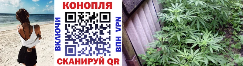 Шишки марихуана марихуана магазин продажи Палласовка